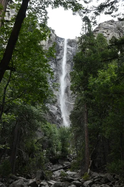 DSC_4599 (Large).JPG